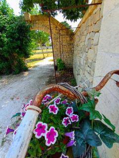 Masseria Tenuta I Quattro Venti - Otranto - 7