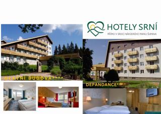 Hotel Srní a Depandance - Srní - 0