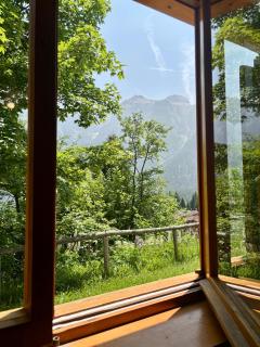 Chalet dello gnomo - Folgarida - 5