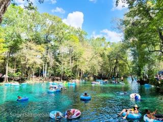 High Springs FL Hideaway - High Springs - 8