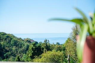 GoldenSeaView TreeHouse with Small Private Pool - 9