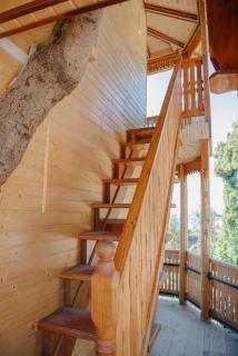 GoldenSeaView TreeHouse with Small Private Pool - Zichisdsiri - 7
