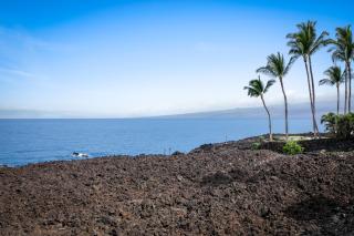 Oceanfront Condo Halii Kai 14D - 3
