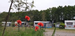 Camping de Reeënwissel - Hoogersmilde - 6