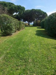 T3 résidence privée proche plage et piscine - Poggio-Mezzana - 5