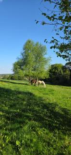 Chambre entre terre et mer - Le Gouray - 4