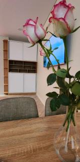 Bamboo Beach Tsikhisdziri 347K - 6