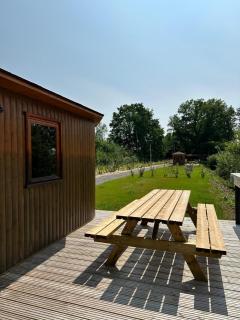 La Feuille - Cabane isolée avec vue sur étang, terrasse privée & pêche - 6