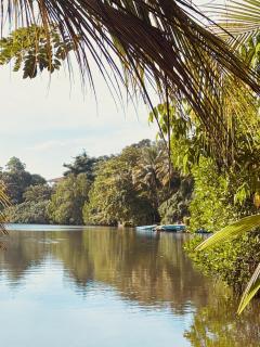 Jungle Breeze - Habaraduwa - 7