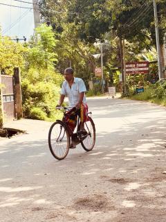 Jungle Breeze - Habaraduwa - 8