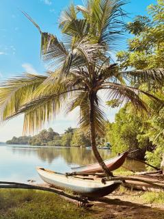 Jungle Breeze - Habaraduwa - 3