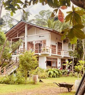 Jungle Breeze - Habaraduwa - 0