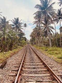 Jungle Breeze - Habaraduwa - 2