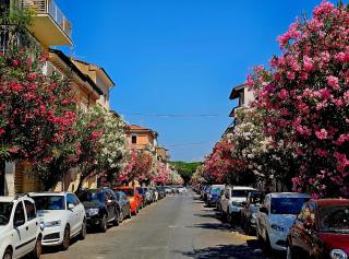 Mansarda Acquamarina - Viareggio - 1