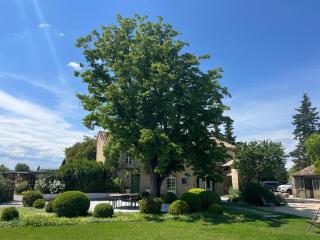 Mas des Vignes - Sainte-Cécile-les-Vignes - 8