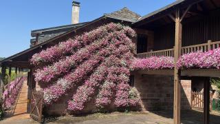 Castel Novel Cottage - 7