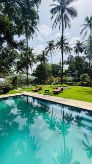 Indulge House - Revora - 2