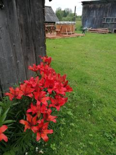 Sillavahi maja - 6