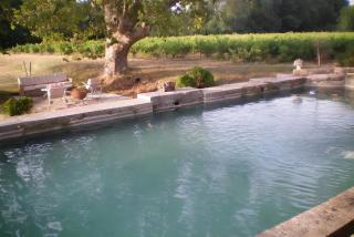 Domaine Le Clos Du Pavillon - Brignoles - 0