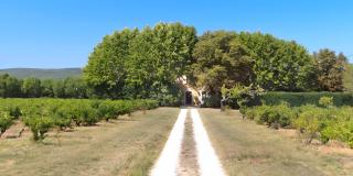Domaine Le Clos Du Pavillon - Brignoles - 9