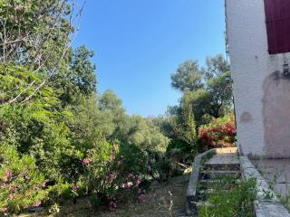 Villas sur terrain 1 hectare a saint florent haute corse - Saint-Florent - 3