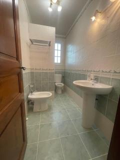 Villas sur terrain 1 hectare a saint florent haute corse - Saint-Florent - 1