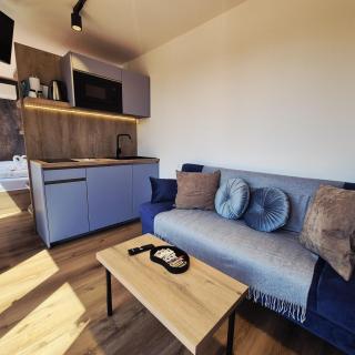 Residence Safari Resort - Lakeside Cabin - Borovany - 2