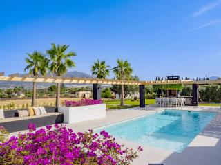 Cubo's Villa Palmera Adults Only - 9