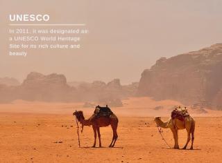 Desert Pulse Luxury Camp - Disah - 7