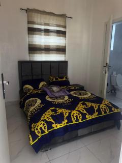 Topshot apartments - Lekki - 2