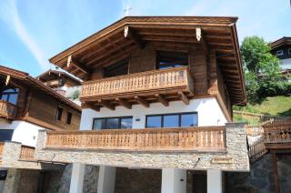 Nationalpark Chalet Lasörling - Neukirchen am Großvenediger - 7