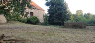 Brennessel - - 1