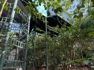Farm House - Kollam - 7