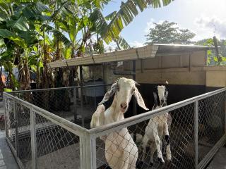 Farm House - Kollam - 6