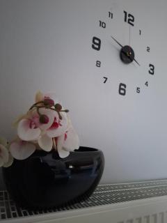 Titi's home - Ofrínion - 0