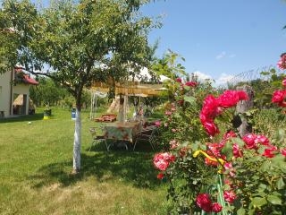 Vila Norina - Oeşti-Pămînteni - 3