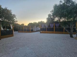 Mobile home Nela - Sveti Filip i Jakov (Santi Filippo e Giacomo) - 6