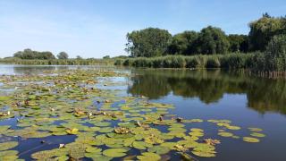 Hausboot-schwimmendes-Ferienhaus-im-Havelbogen-Haus-auf-dem-Wasser - 1