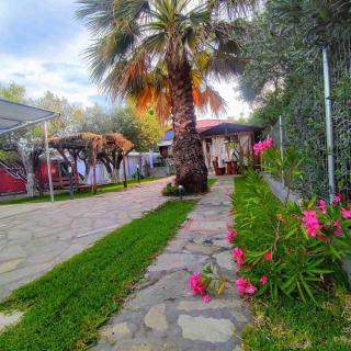 Palm Residence - Nea Kallikratia - 8
