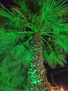 Palm Residence - Nea Kallikratia - 9