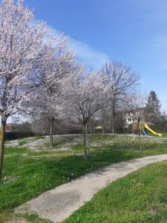 SkyLucca with parking - Lucca - 2