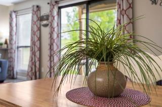 Greenside Retreat - Pointe Royale - Branson - 6