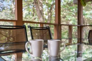 Baldknobber Ridge Escape - West Branson Cabin - Branson West - 2