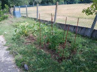 Joli studio au calme - 1