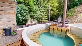 Eden Chalet - Dîmbovicioara - 7