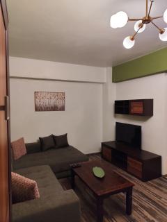 LC Apartments Suceava B03 - Suceava - 5