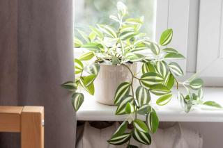 Bright Studio with Desk Ideal for Remote Work by Noclegi Renters - Danzig - 4