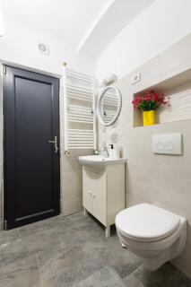 Studio Central, Relaxing&Cozy - Timişoara - 9