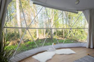 Luigepesa Puhkemaja - Swan Nest dome house with sauna and pond - - 3