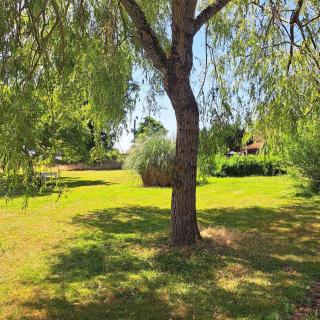 Chez Nous - Brigueil-le-Chantre - 7